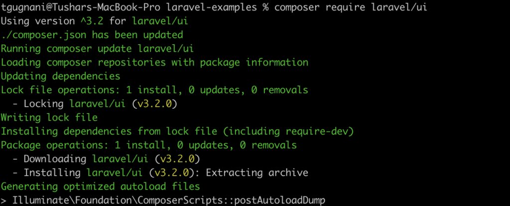 composer require laravel/ui