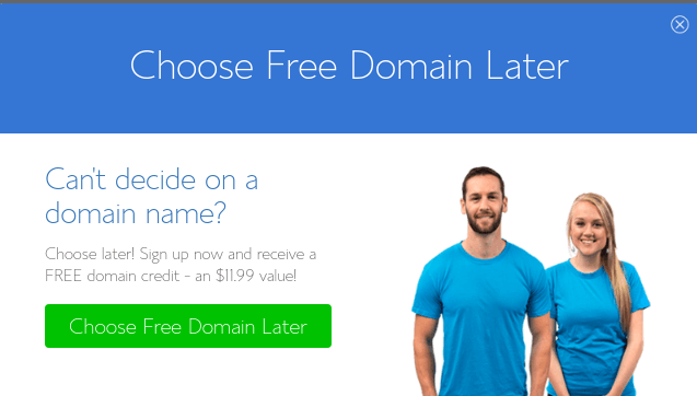 choose free domain later bluehost