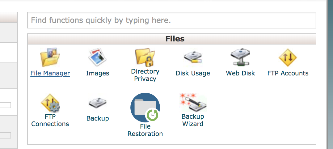 File Manager option cPanel