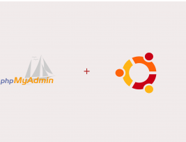 Setup PHPMyAdmin on Ubuntu 20.04 using Builtin PHP Server